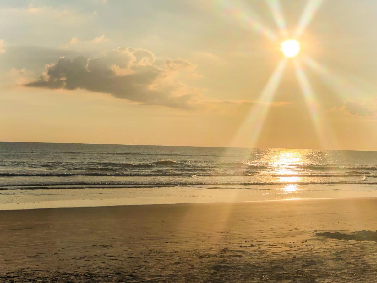 Daytona Beach Shores Sand Dollar Condominiums المظهر الخارجي الصورة