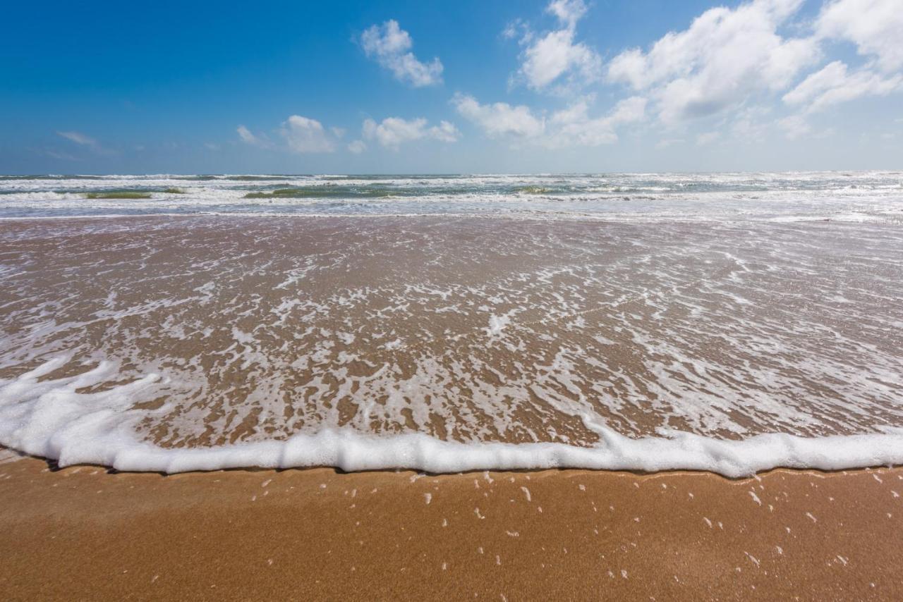Daytona Beach Shores Sand Dollar Condominiums المظهر الخارجي الصورة